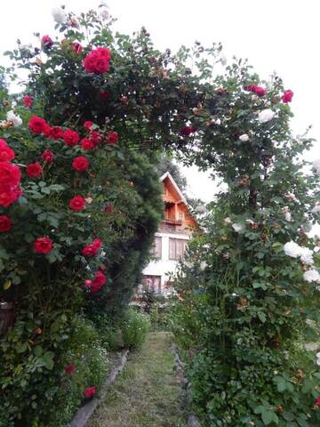 Фотографии Гостевой дом Pensiunea Paradis г. Borobăneşti (Румыния) №2 Фото Гостевой дом Pensiunea Paradis г. Borobăneşti 2